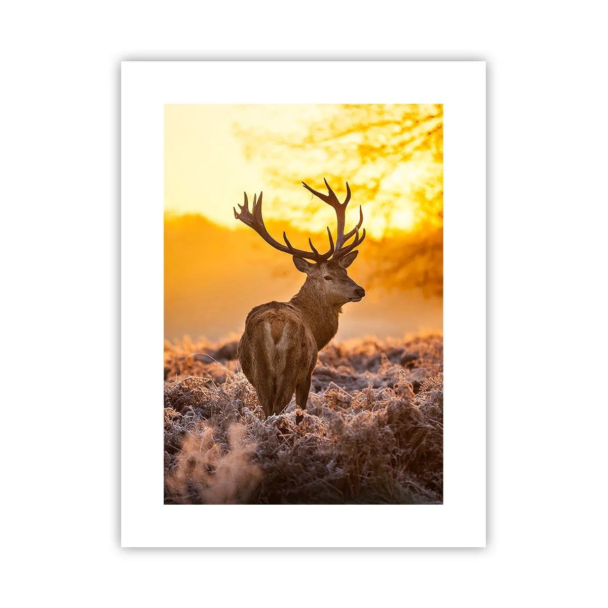 Pôster - Rei da floresta de outono - 30x40 cm