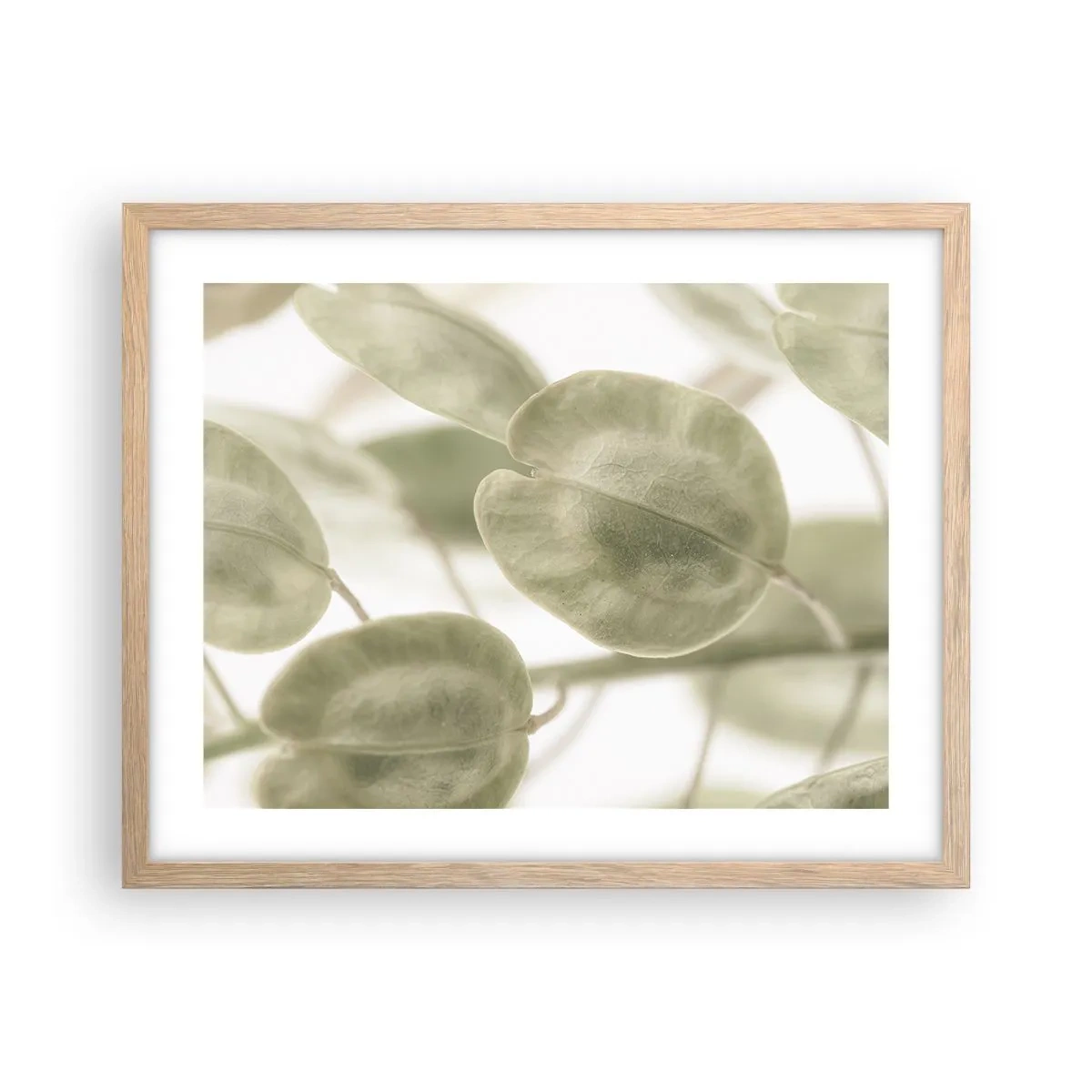 Pôster com moldura de carvalho claro - No começo eram folhas... - 50x40 cm