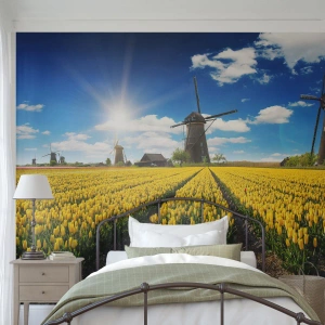 Papel de Parede Premium Sand - Nada mais holandês do que isso - Paisagem, Fã, Tulipas - 300x210 cm