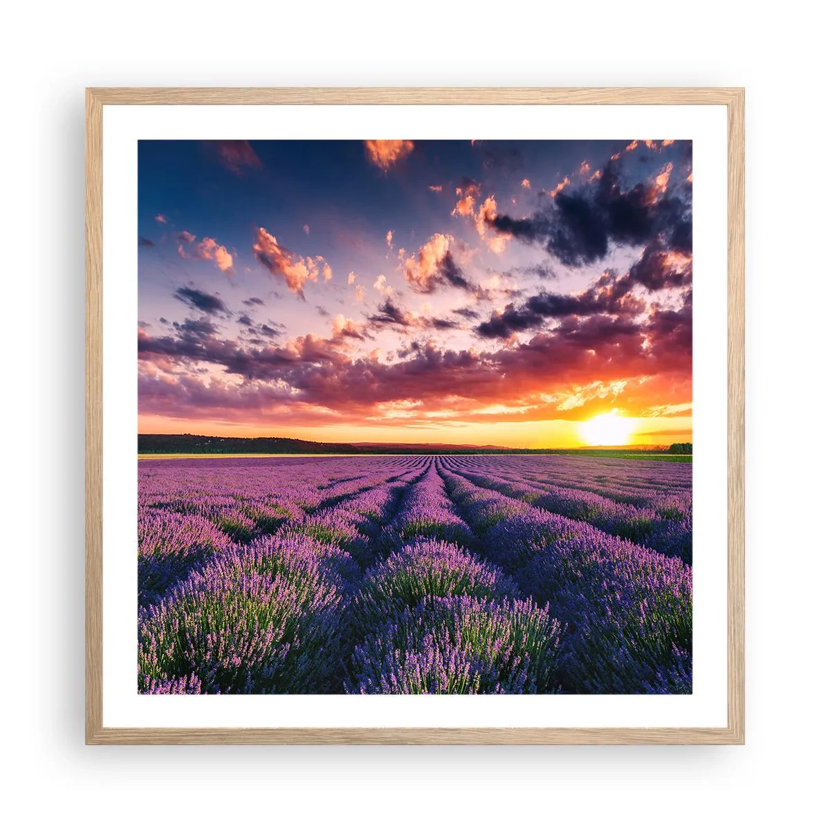 Pôster com moldura de carvalho claro - O mundo da lavanda - 60x60 cm