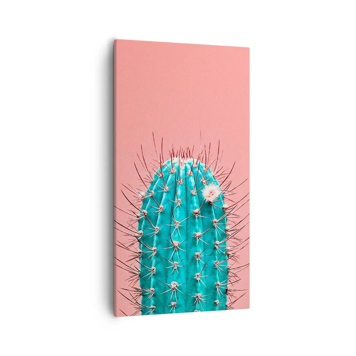 Quadro em tela - Apenas olhe - 55x100 cm