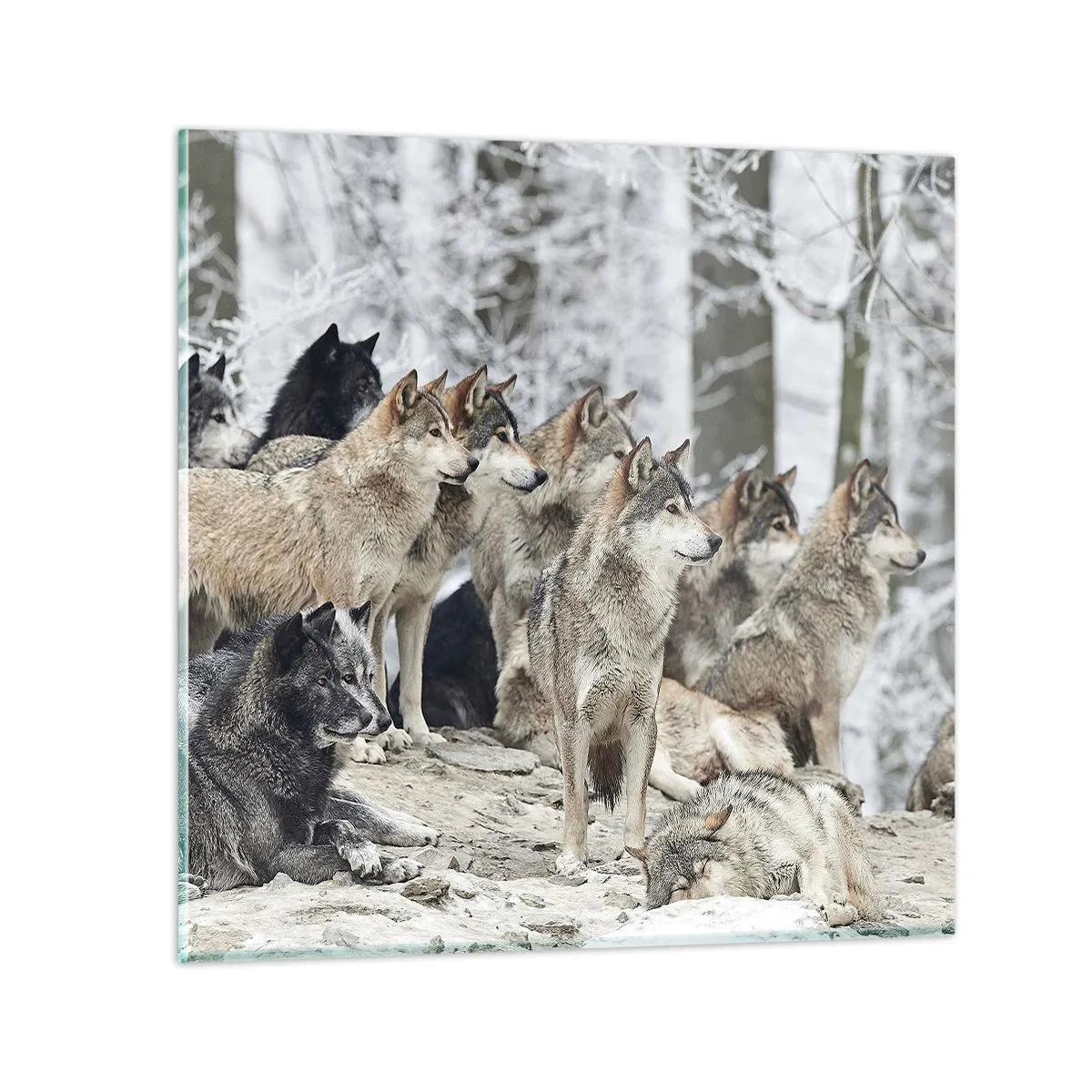 Quadro em vidro - Família e amigos - 60x60 cm