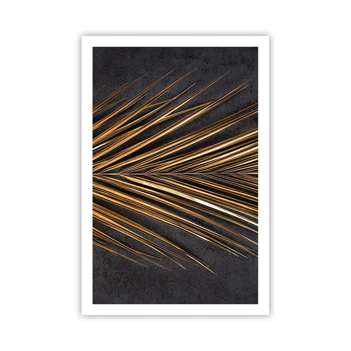 Pôster - Ouro dos trópicos - 61x91 cm