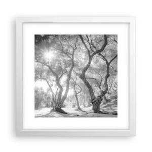 Pôster em moldura branca - No olival - 30x30 cm
