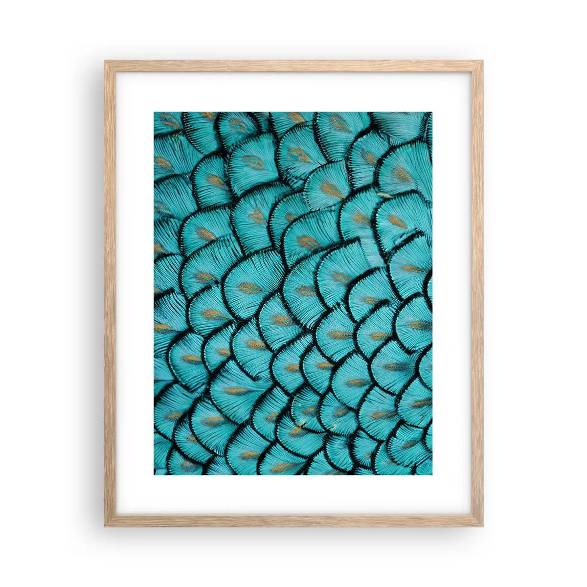 Pôster com moldura de carvalho claro - A grande gala de penas - 40x50 cm