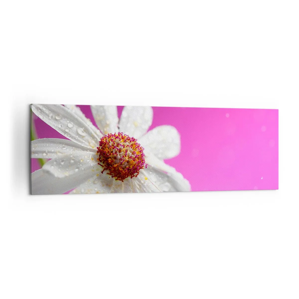 Quadro em tela - Modesto em sua beleza - 160x50 cm