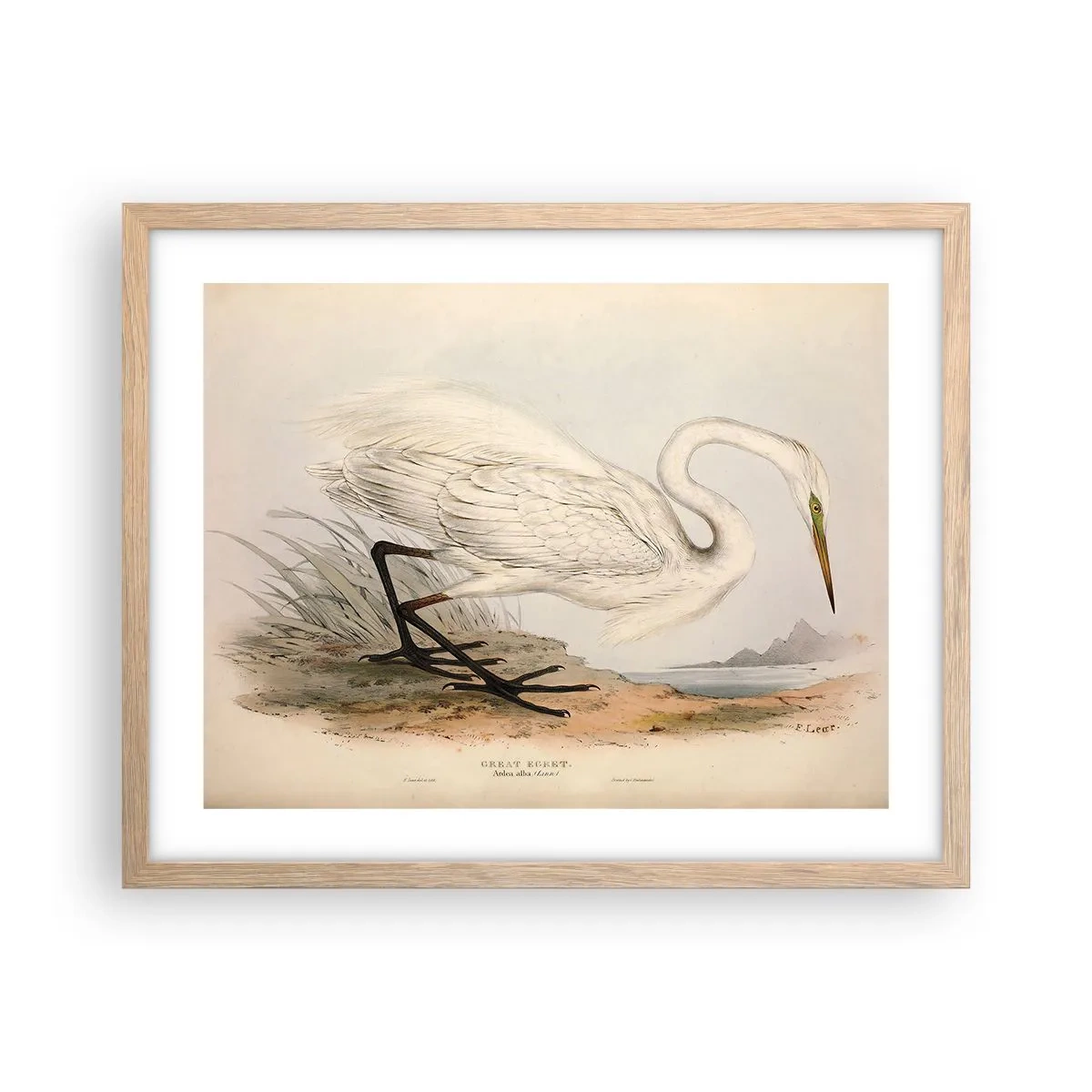 Pôster com moldura de carvalho claro - A senhora nos juncos - 50x40 cm
