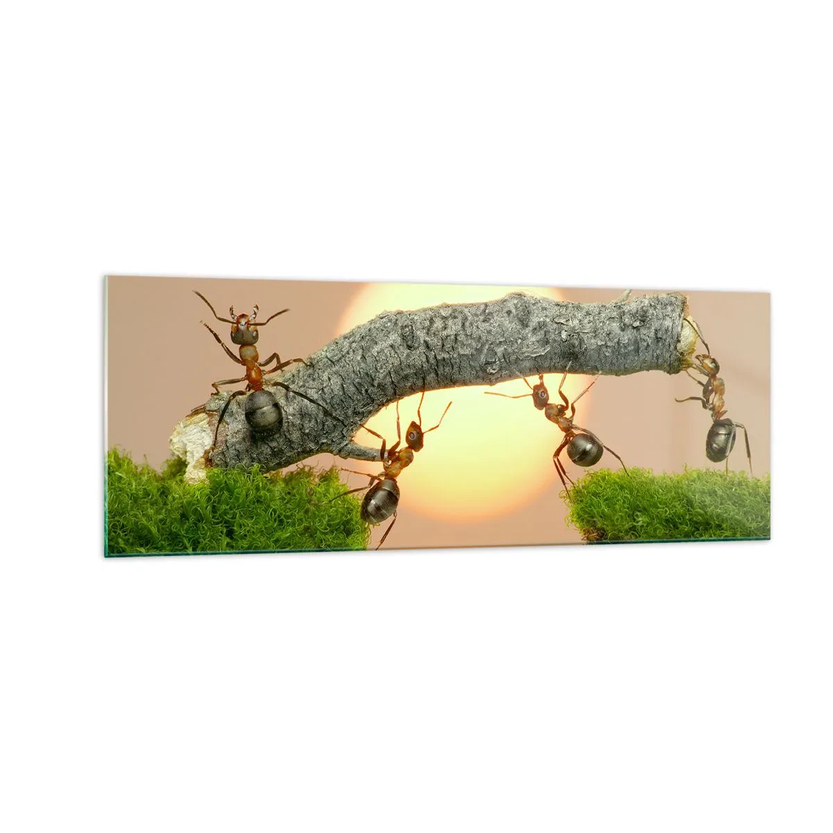 Quadro em vidro - Trabalho alegre e colaborativo - 140x50 cm