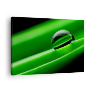 Quadro em tela - Close-up de uma gota de orvalho em uma folha verde - 70x50cm - A vida de perto - Decoração de parede moderna para a sala de estar e quarto ARTTOR