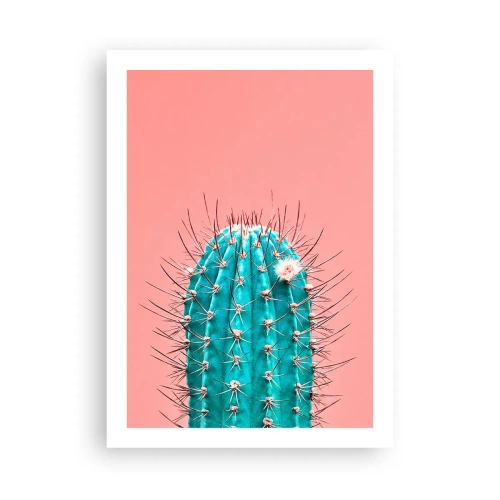 Pôster - Apenas olhe - 50x70 cm