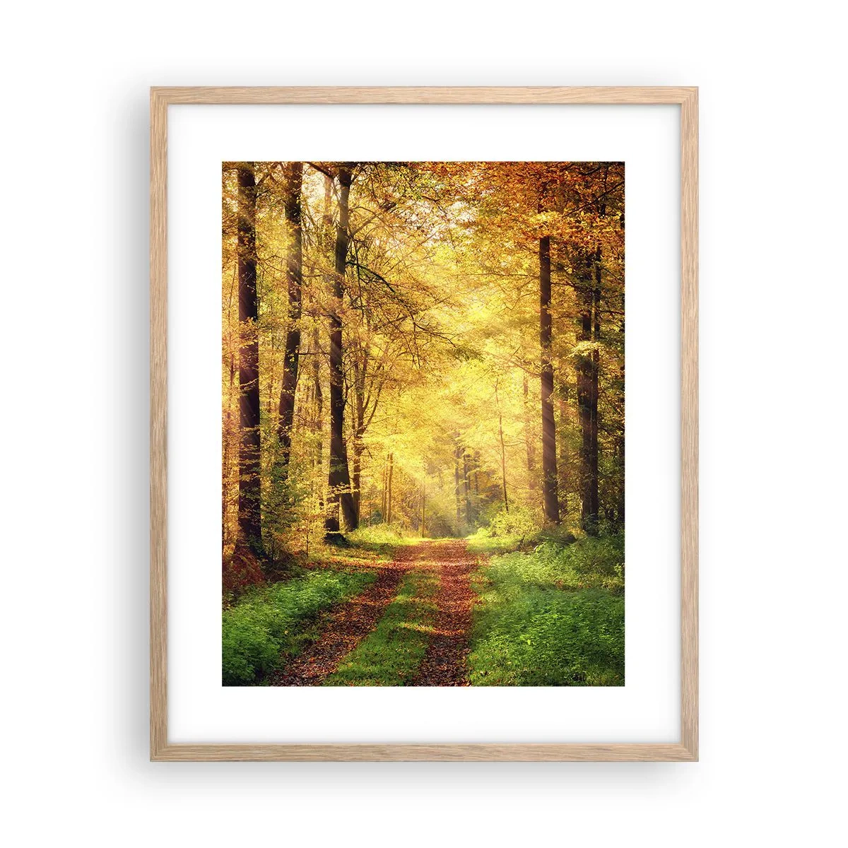 Pôster com moldura de carvalho claro - Silêncio dourado da floresta - 40x50 cm