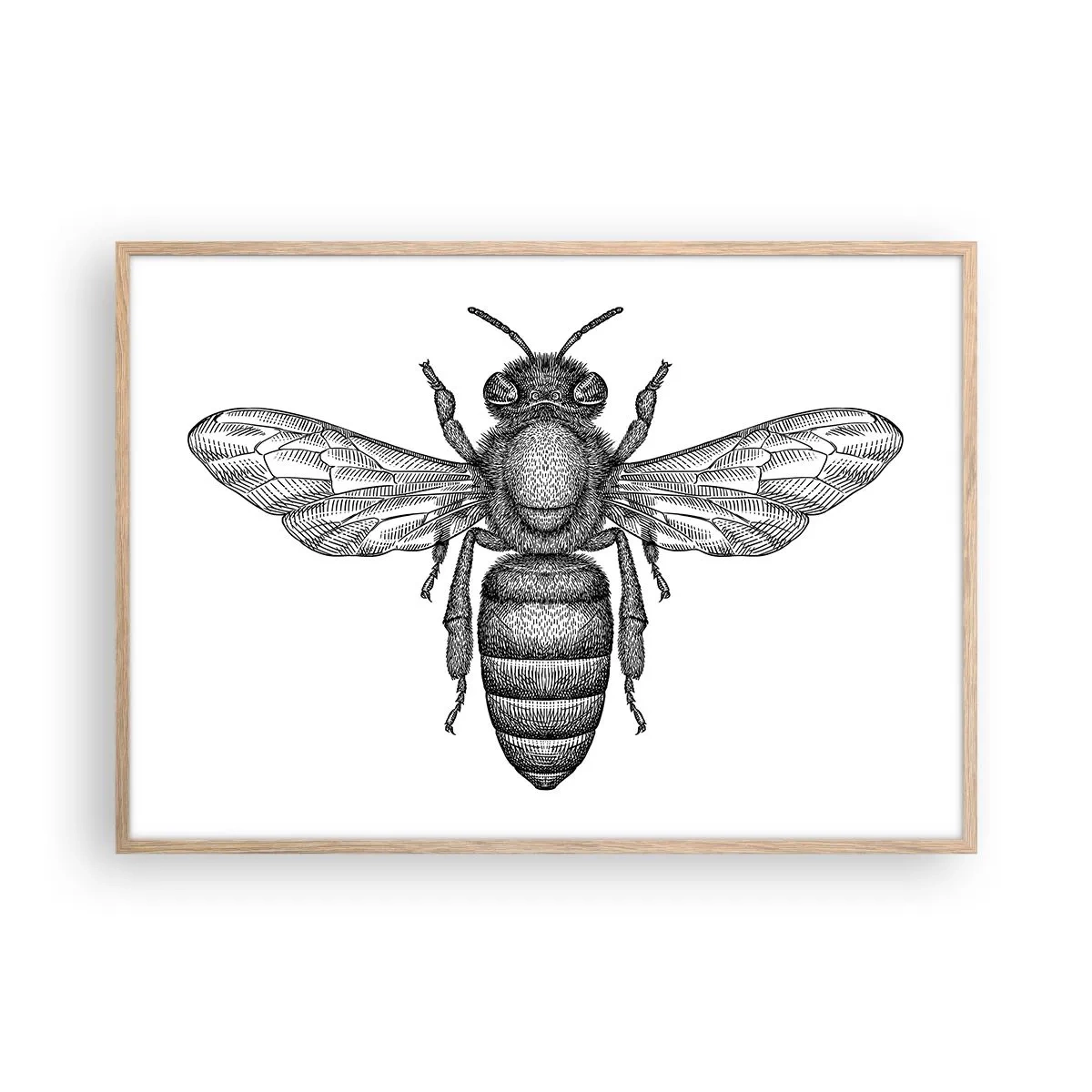 Pôster com moldura de carvalho claro - Retrato de um inseto - 100x70 cm