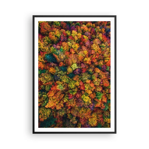 Pôster com moldura preta - Bouquet de árvores de Outono - 70x100 cm