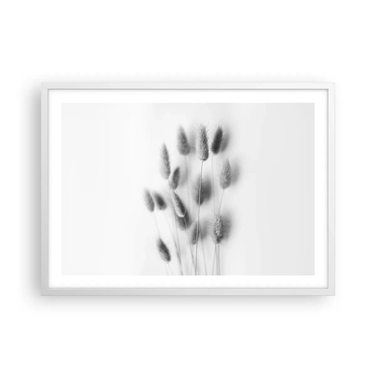 Pôster em moldura branca - Grama fofa - 70x50 cm