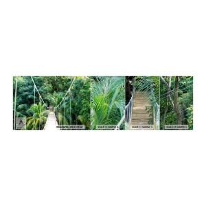 Amostra de papel de parede Premium Canvas - Bem-vindo à selva! - Paisagem, Selva, Honduras - 100x30 cm