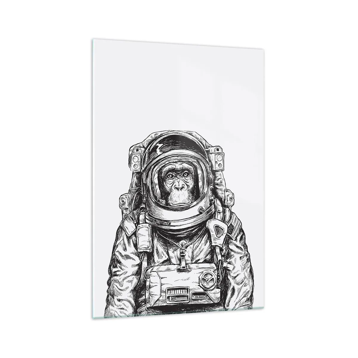 Quadro em vidro - Evolução alternativa - 70x100 cm