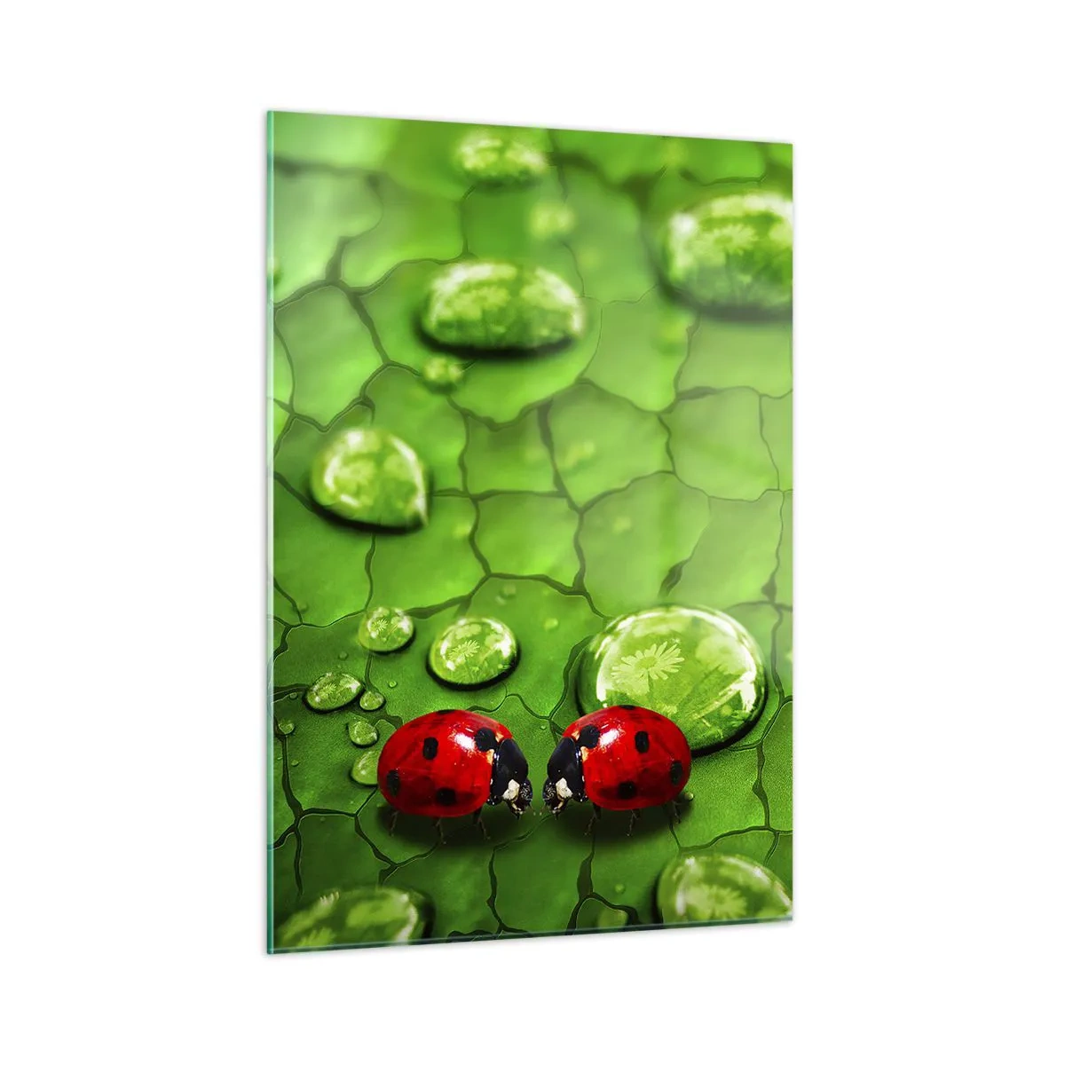 Quadro em vidro - Reunião em verde - 50x70 cm