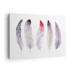 Quadro em tela - Cinco penas delicadas em tons pastéis sobre fundo claro - 70x50cm - Delicadas como uma névoa multicolorida - Decoração de parede moderna para a sala de estar e quarto ARTTOR
