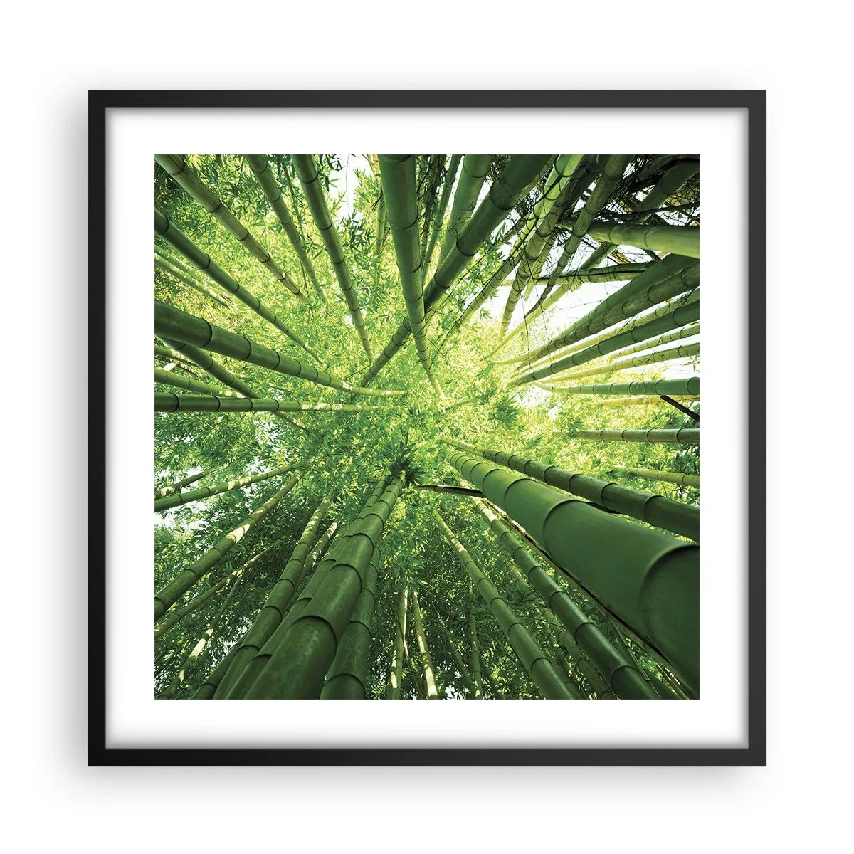 Pôster com moldura preta - Em um bosque de bambu - 50x50 cm