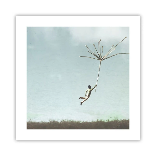 Pôster - Papagaios, balões, vento - 40x40 cm