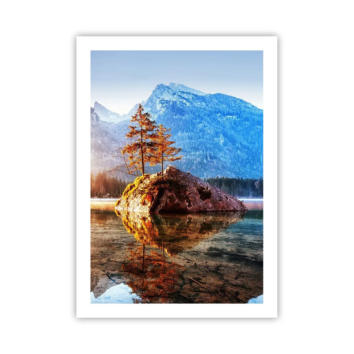 Pôster - A natureza sob uma nova luz - 50x70 cm