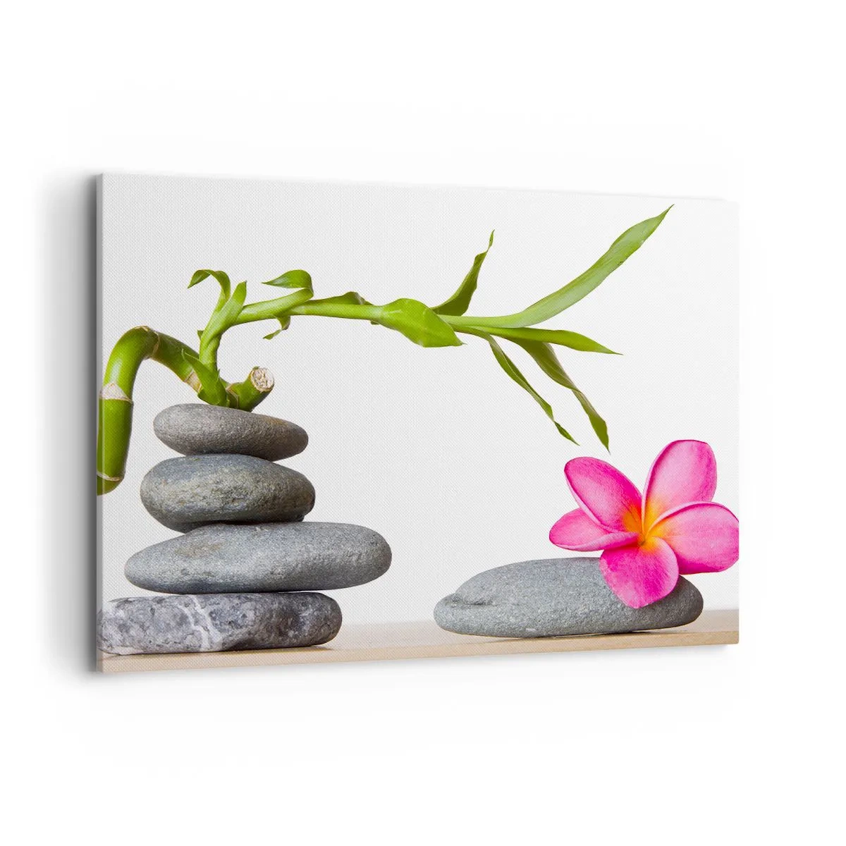 Quadro em tela - Cores da vida e duração - 100x70 cm