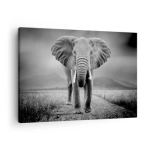 Quadro em tela - Um poderoso elefante na savana em tons monocromáticos - 70x50cm - O anfitrião dá as boas-vindas - Decoração de parede moderna para a sala de estar e quarto ARTTOR