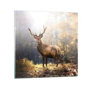 Quadro em vidro - Em plena majestade - 70x70 cm