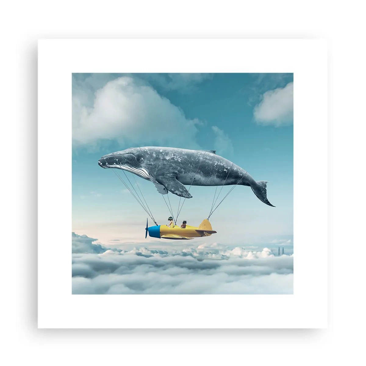 Pôster - Por que não? - 30x30 cm