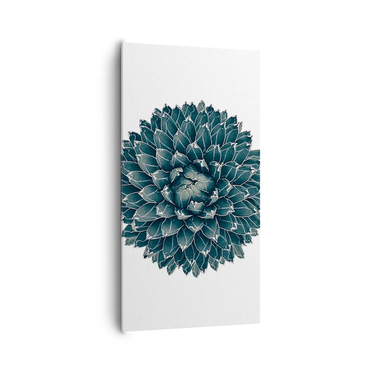 Quadro em tela - Estrela do Deserto - 65x120 cm