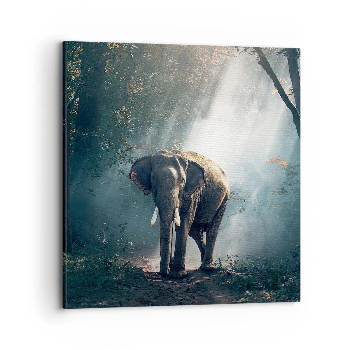 Quadro em tela - Um passeio descontraído - 70x70 cm