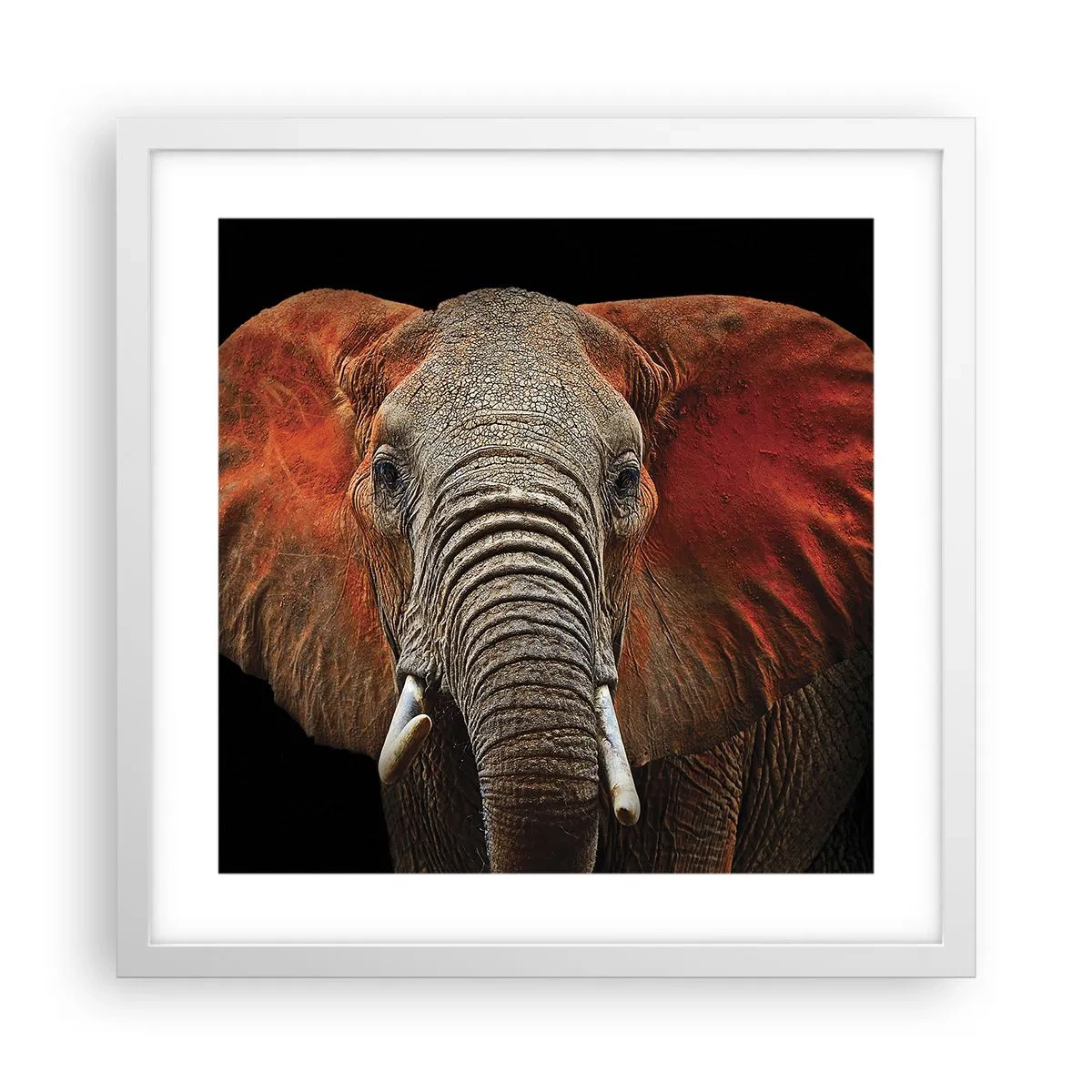 Pôster em moldura branca - Eu sou selvagem, e você? - 40x40 cm