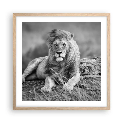 Pôster com moldura de carvalho claro - Sesta real - 50x50 cm