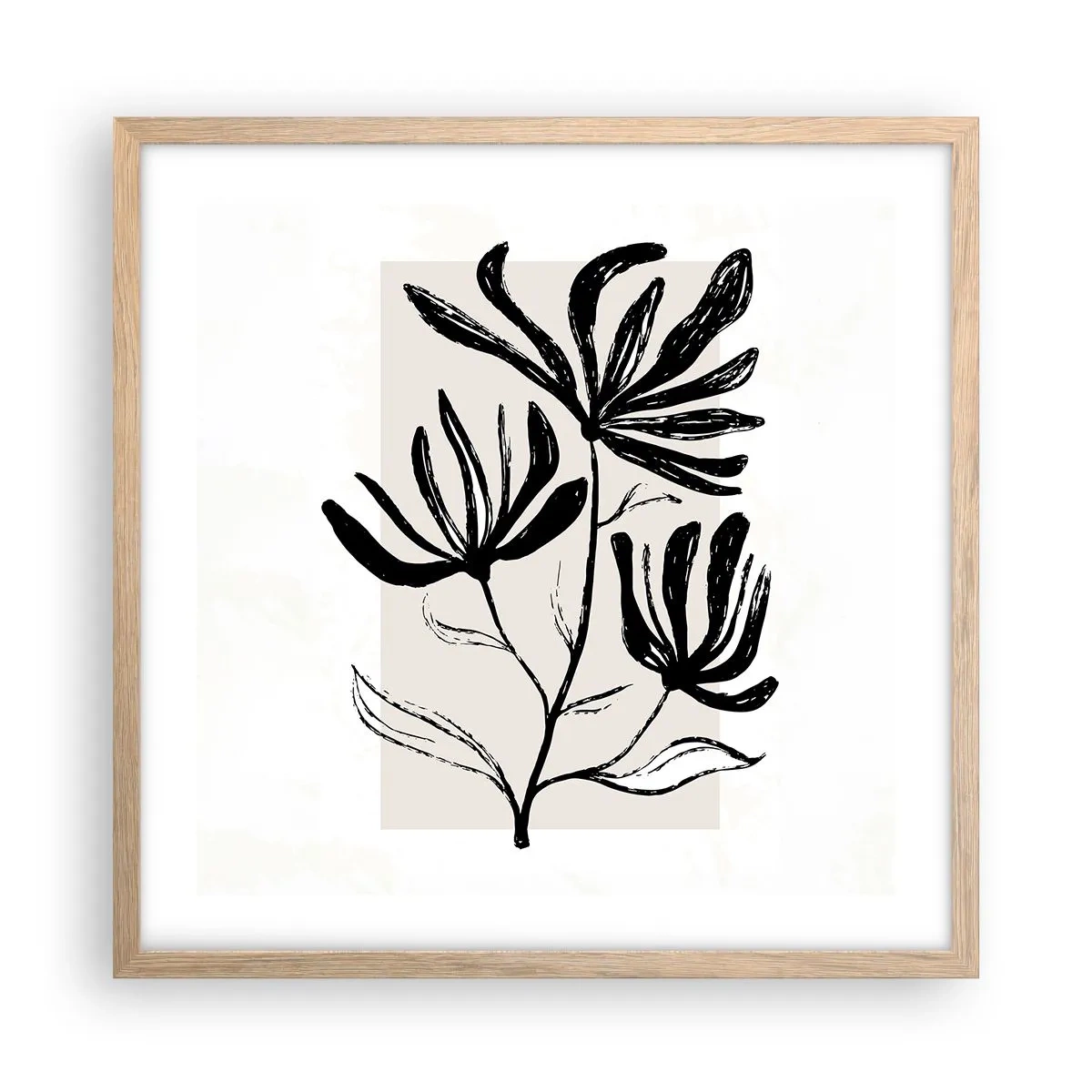 Pôster com moldura de carvalho claro - Esboço para o herbário - 50x50 cm