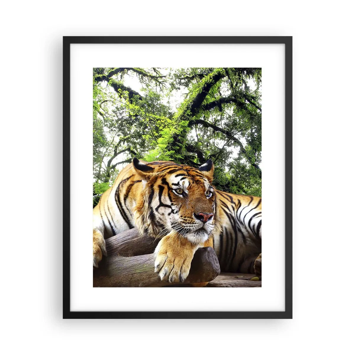 Pôster com moldura preta - Com os melhores cumprimentos - 40x50 cm