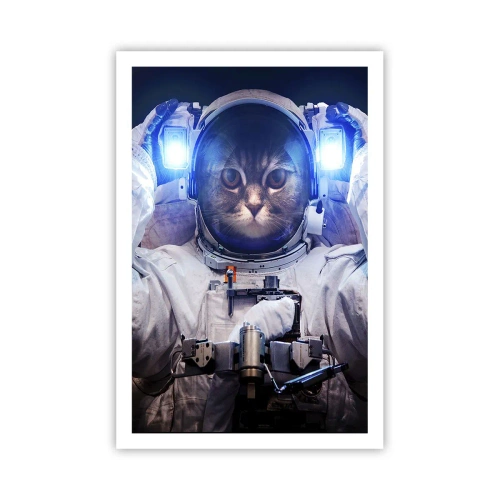 Pôster - Houston, temos um problema - 61x91 cm