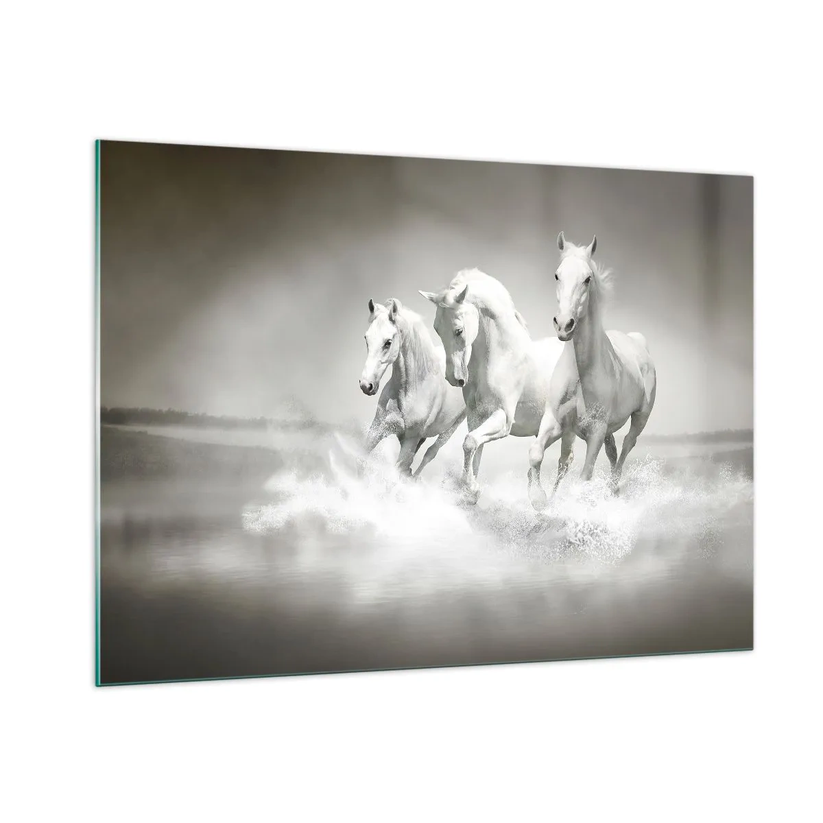 Quadro em vidro - Loucura branca - 100x70 cm