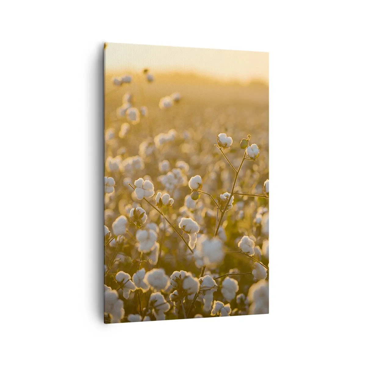 Quadro em tela - Campo macio - 80x120 cm