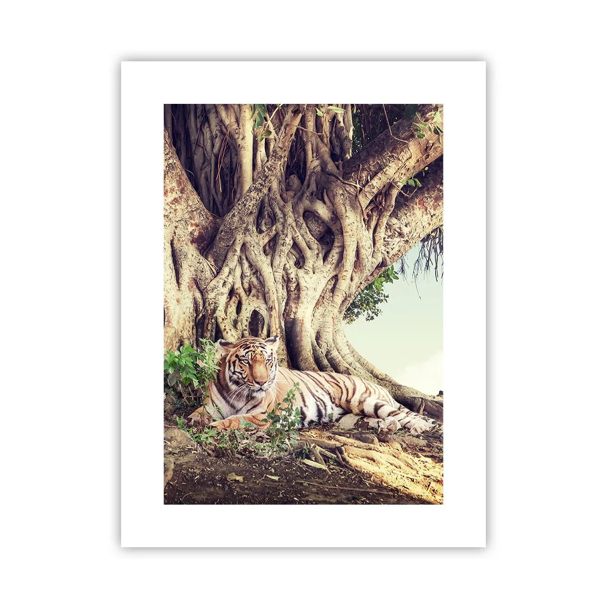 Pôster - Vista do livro de Gênesis - 30x40 cm