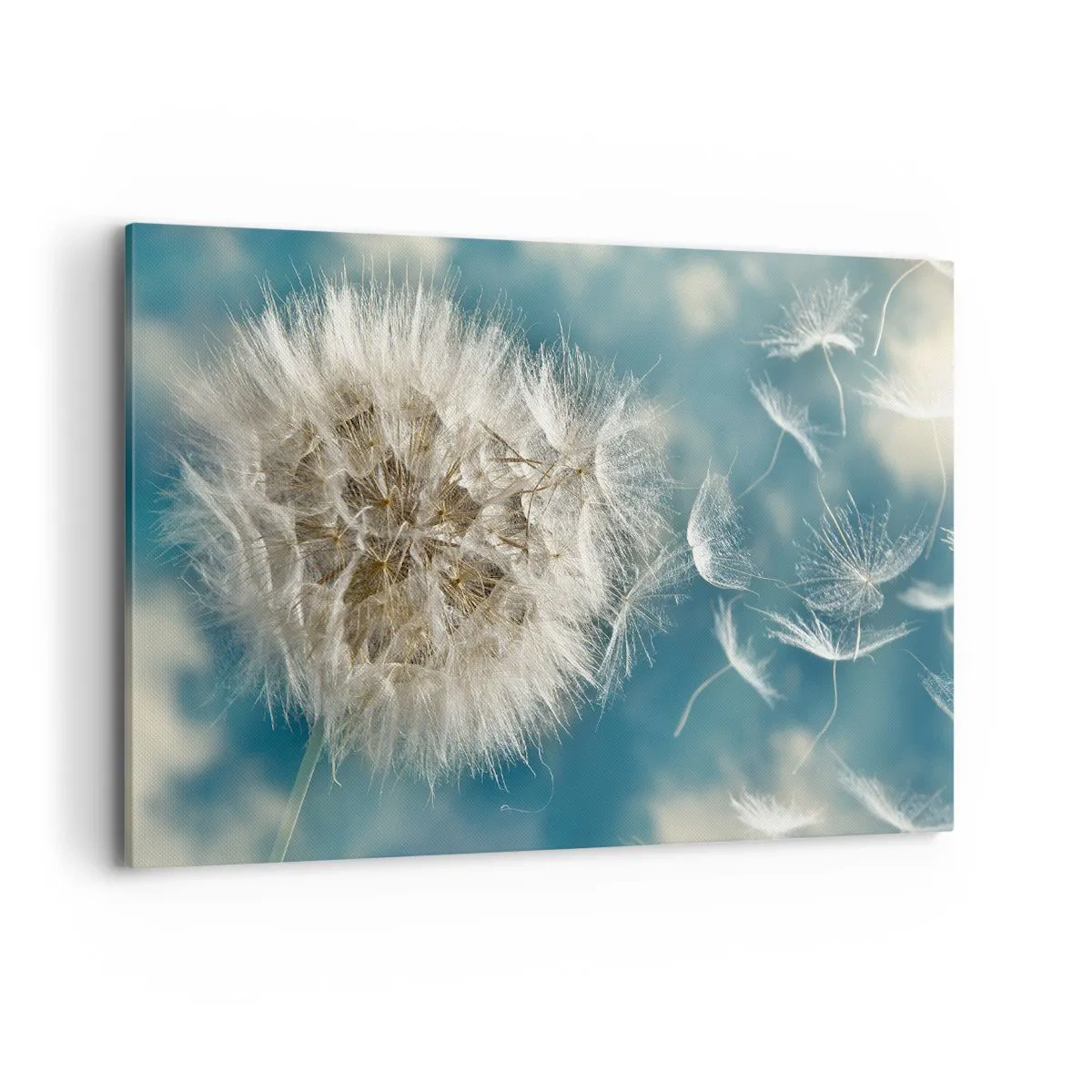 Quadro em tela - Respiração de um anjo - 120x80 cm