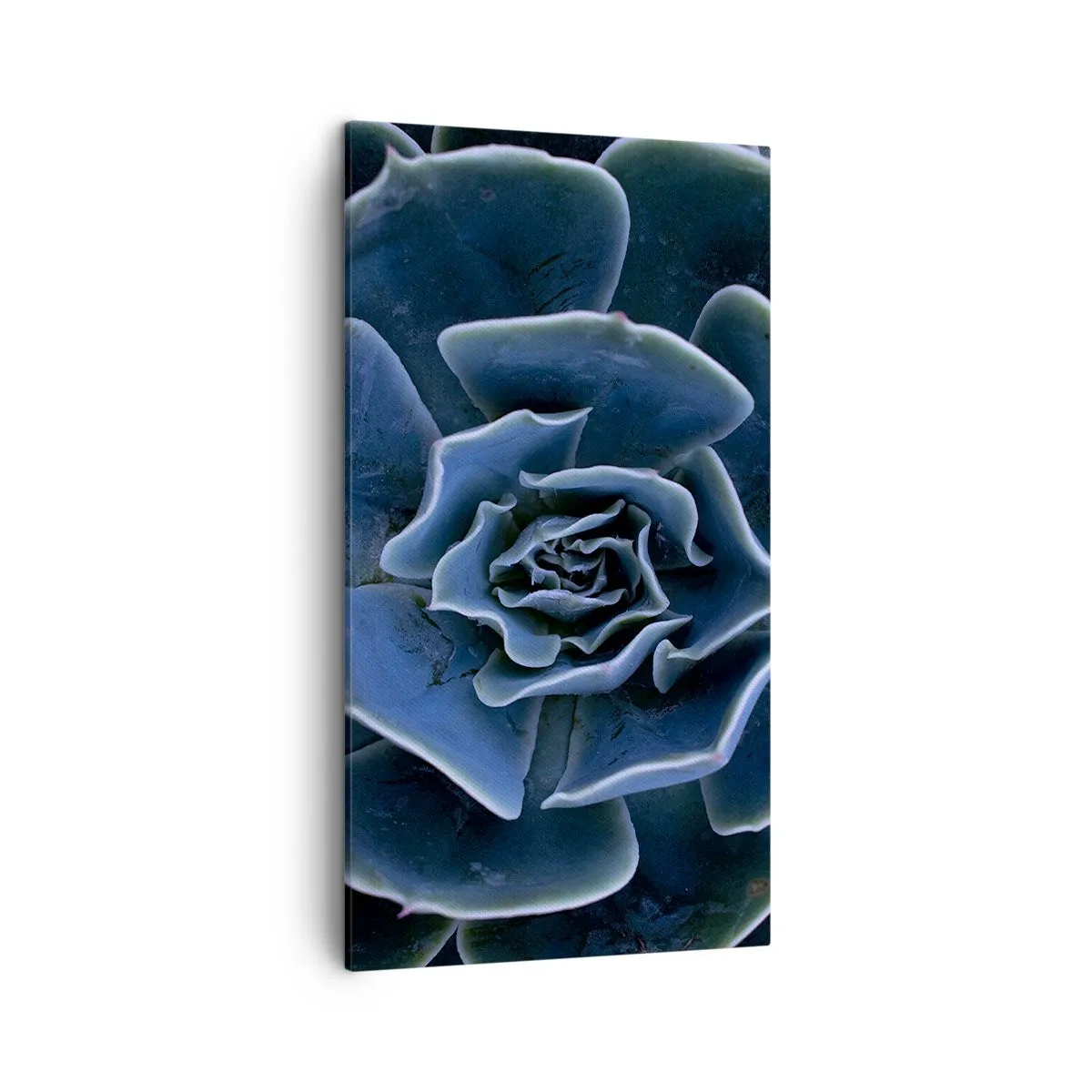 Quadro em tela - Flor do deserto - 45x80 cm