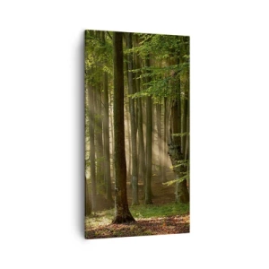 Quadro em tela - Radiante em uma manhã de primavera - 45x80 cm