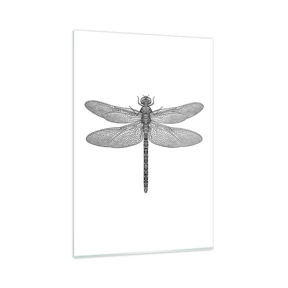 Quadro em vidro - Precisão da natureza - 80x120 cm