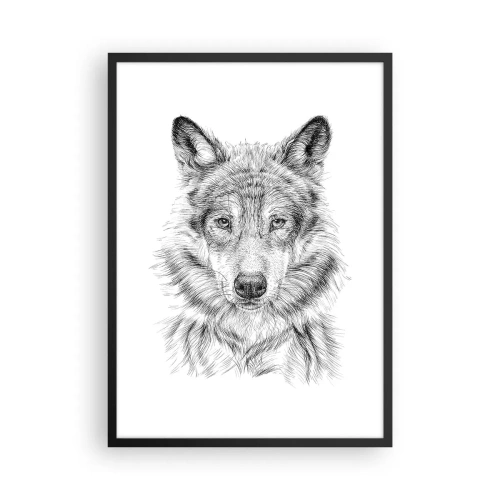 Pôster com moldura preta - Desenho detalhado de um lobo em estilo preto e branco - 50x70cm - Um líder nato - Decoração de parede moderna para a sala de estar e quarto ARTTOR