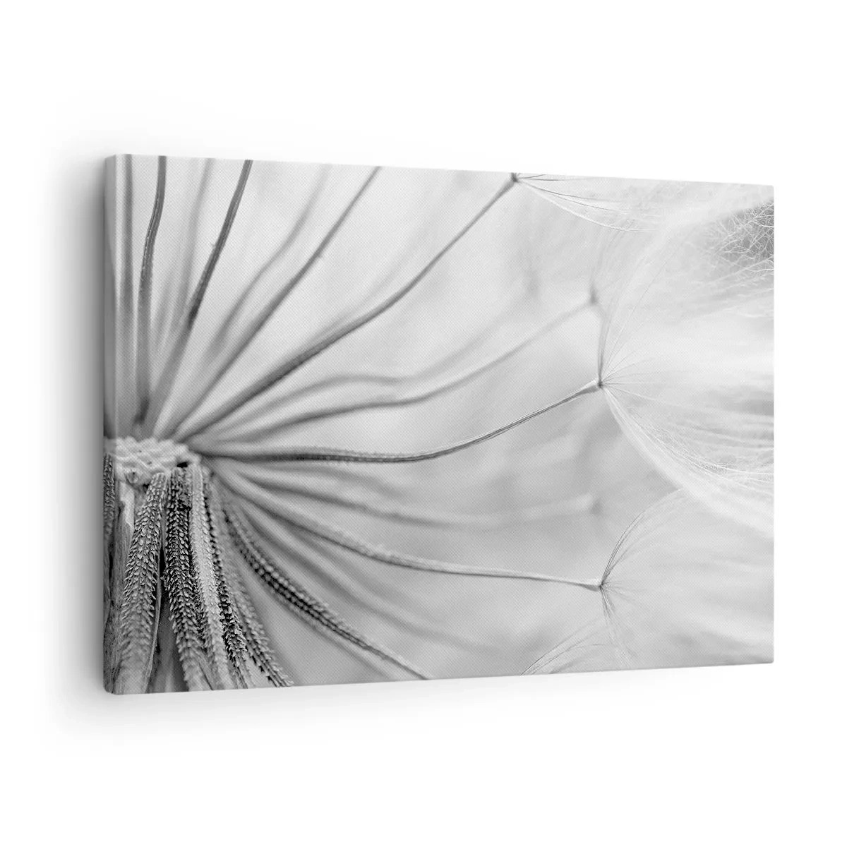 Quadro em tela - Dentes de leão, pipas - 70x50 cm