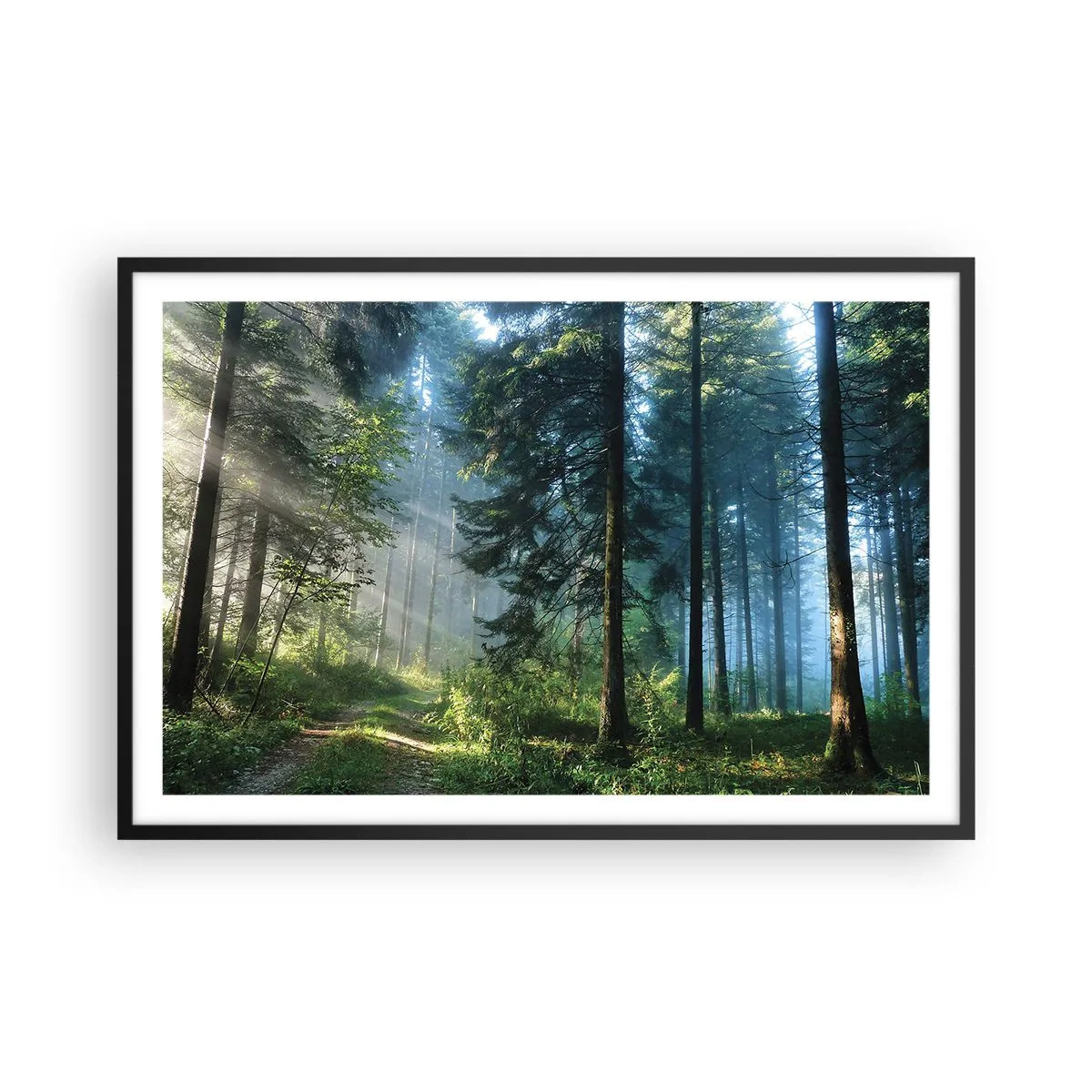 Pôster com moldura preta - Radiante de manhã - 91x61 cm