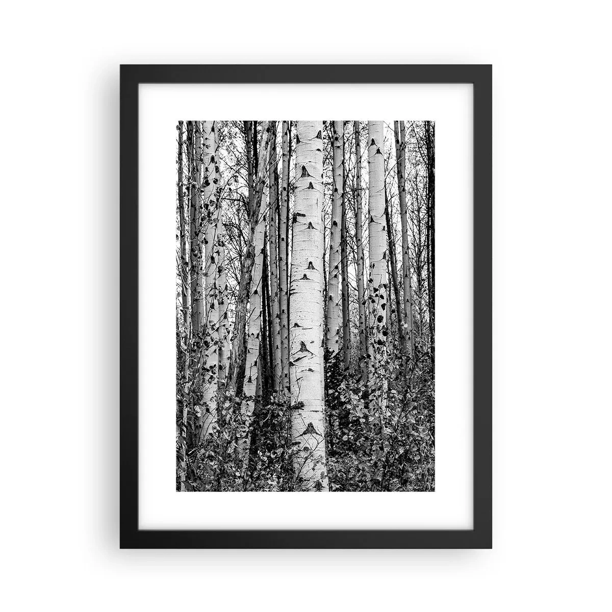 Pôster com moldura preta - Colunata de bétula - 30x40 cm