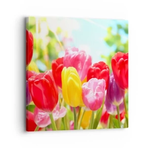 Quadro em tela - Somos nós, as cores de maio! - 30x30 cm