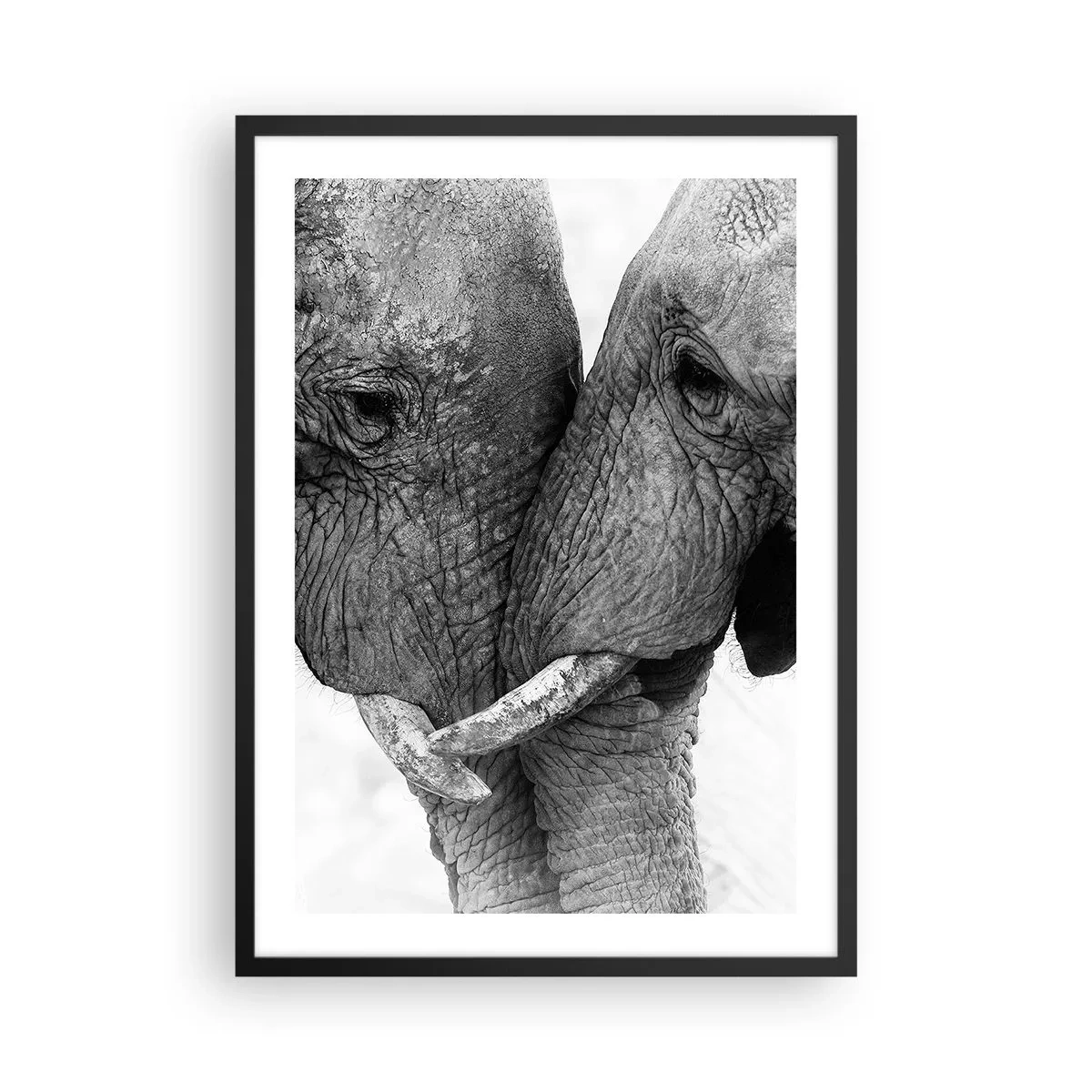 Pôster com moldura preta - Foto em close de dois elefantes em preto e branco - 50x70cm - Confissão sincera - Decoração de parede moderna para a sala de estar e quarto ARTTOR