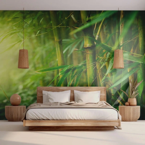 Papel de Parede Premium Canvas - Conheça a vegetação - Plantar, Bambu, Selva - 400x280 cm